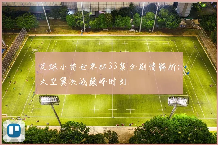 足球小将世界杯33集全剧情解析：大空翼决战巅峰时刻