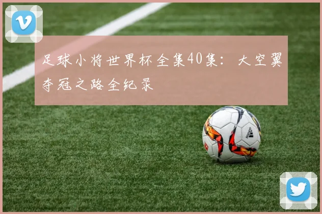 足球小将世界杯全集40集：大空翼夺冠之路全纪录
